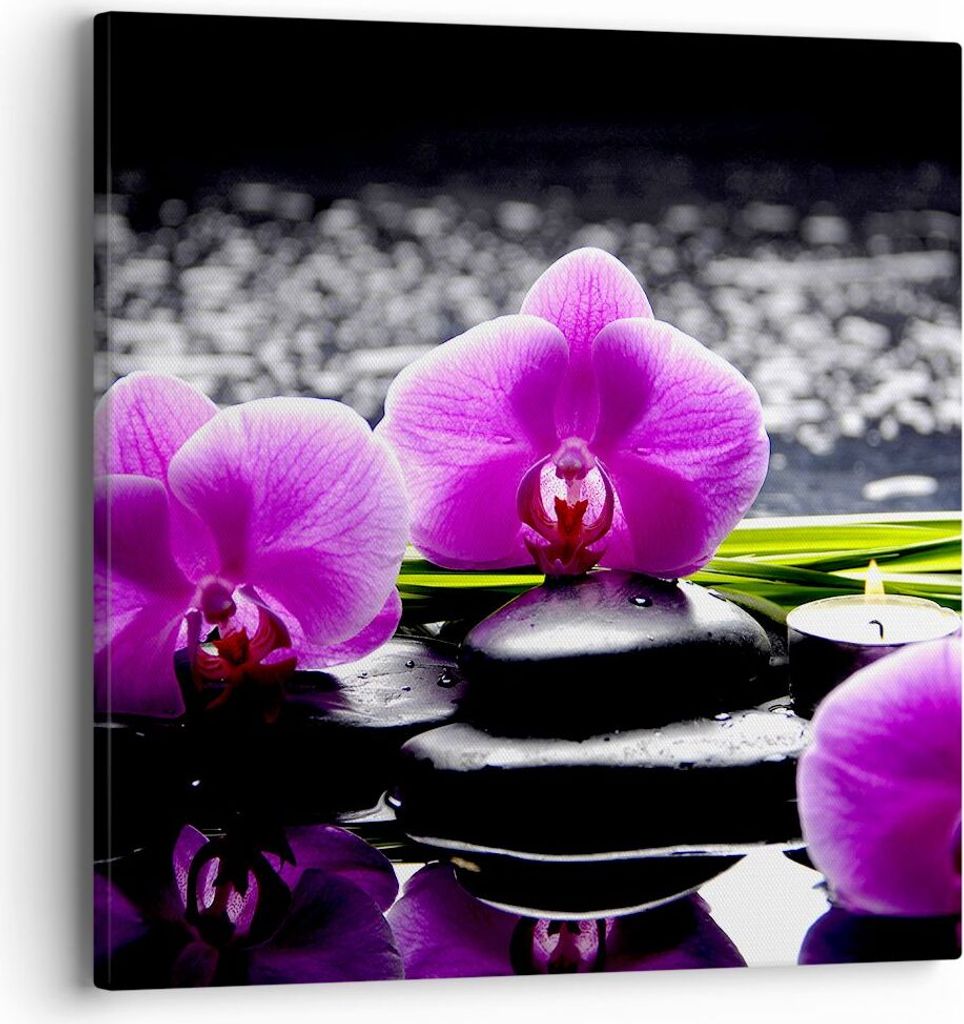 Bild auf Leinwand - Leinwandbild - Orchidee Natur Wasser Blume - 40x40cm - Wand Bild - Wanddeko - Leinwanddruck - Bilder - Kunstdruck - Wanddekorat...