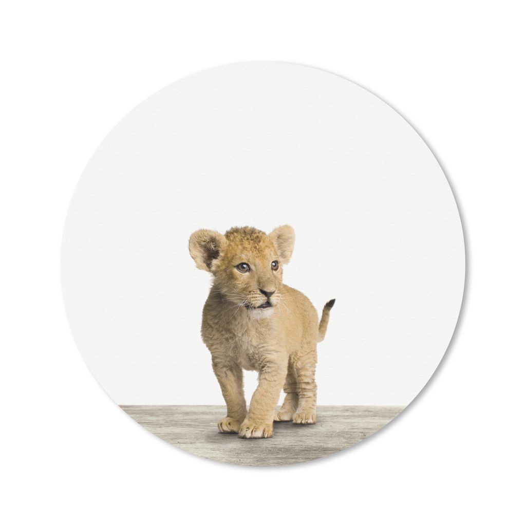 MuchoWow Mauspad Mousepad Tiere - Löwe - Jungtier 50x50 cm - Mousepads - Maus Mat - Pad - Mausunterlage - Vinyl