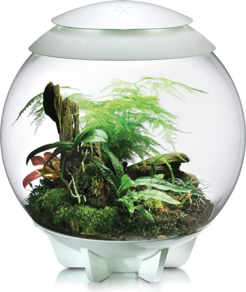 Terrarium Décoratif biOrb AIR 60 Blanc - Jardin Tropical d'Intérieur