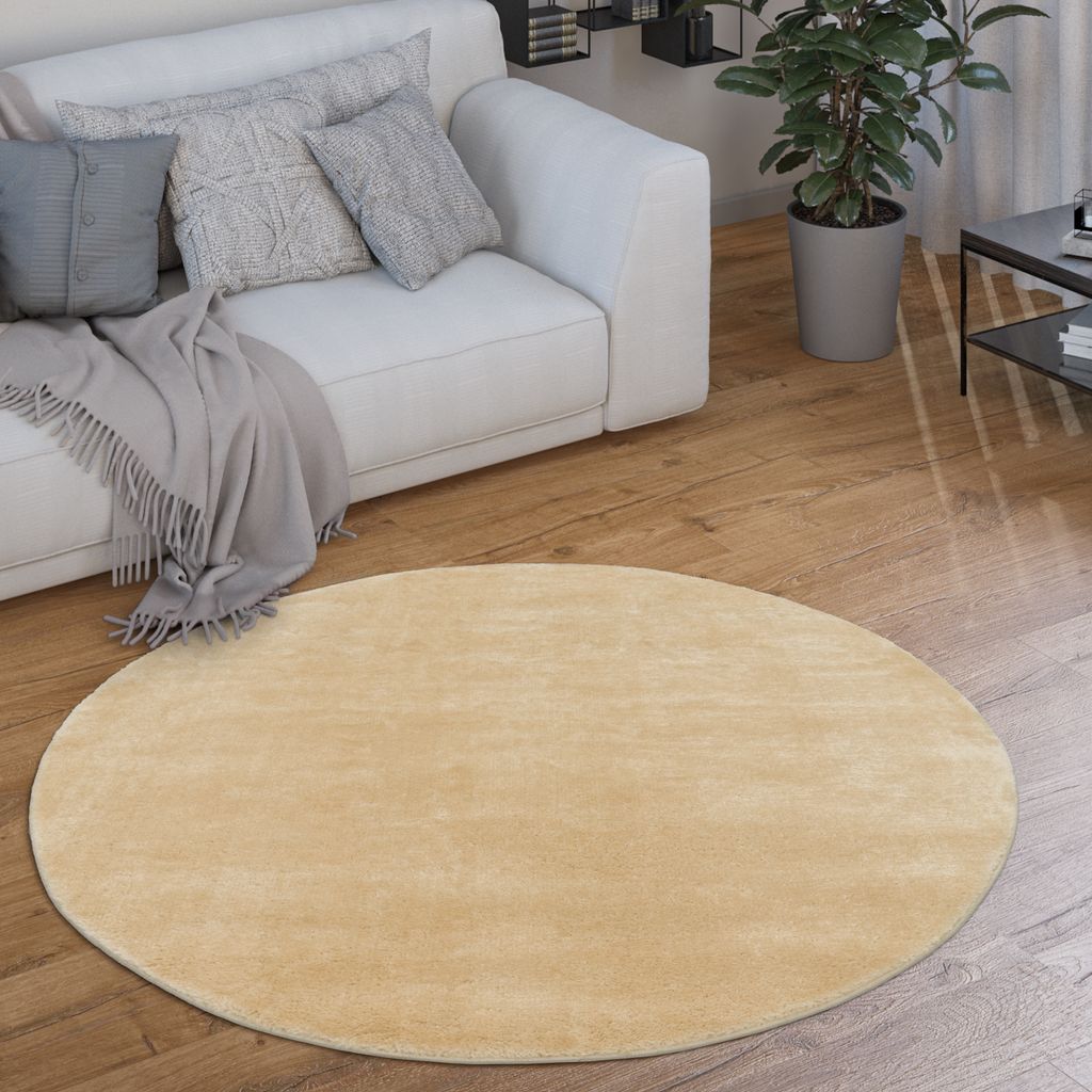 Teppich Rund Wohnzimmer Kurzflor Modern Flauschig Waschbar Einfarbig Rutschfest Grösse 200 cm Rund