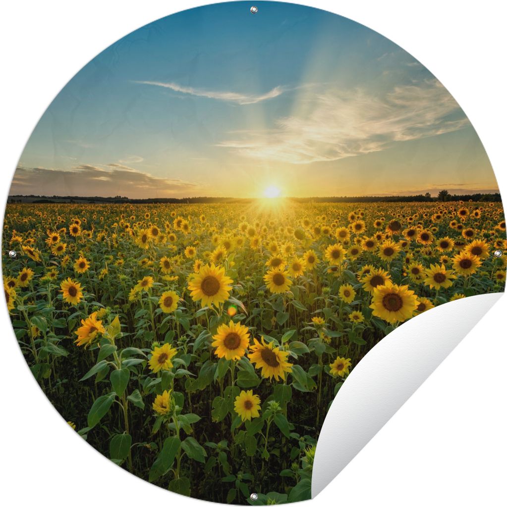 MuchoWow Gartenposter Outdoor-Poster Rund Sonnenuntergang - Blumen - Sonnenblume - Horizont - Landschaft Ø 60 cm Gartendeko Rundes Poster draußen