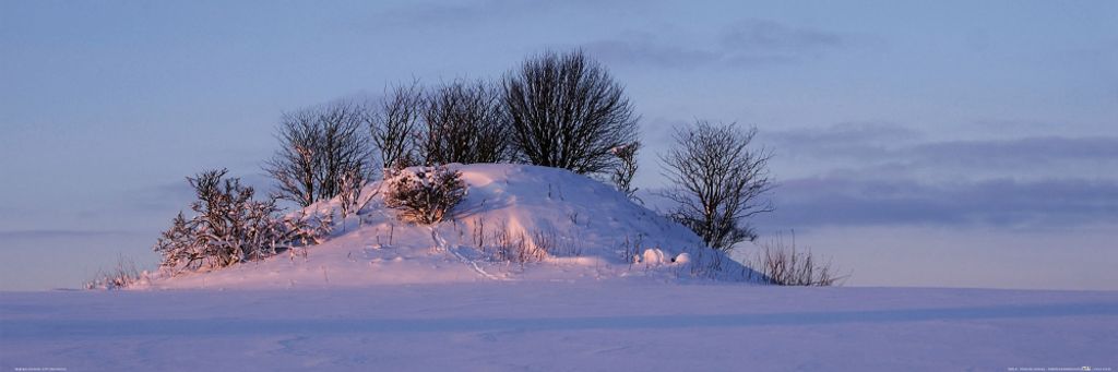 Winter Kunstdruck Bild - Scheelandschaft In Schimmerndem Winterlicht (30 x 91 cm)