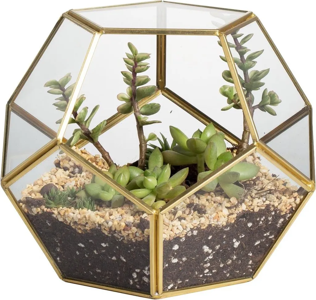 Terrarium Géométrique Ouvert Anti-Humidité pour Succulentes et Mousses