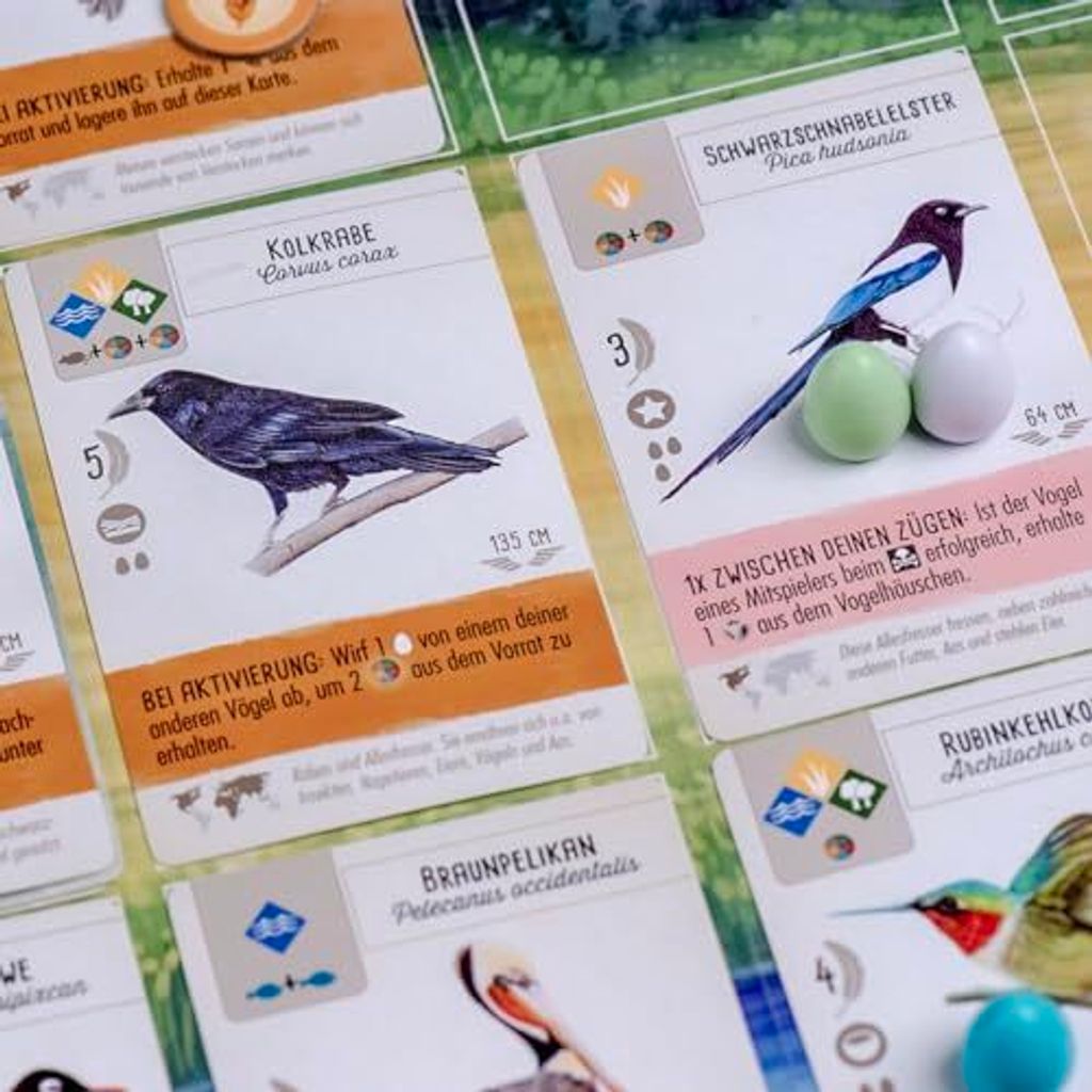 Flügelschlag Produktbild 16