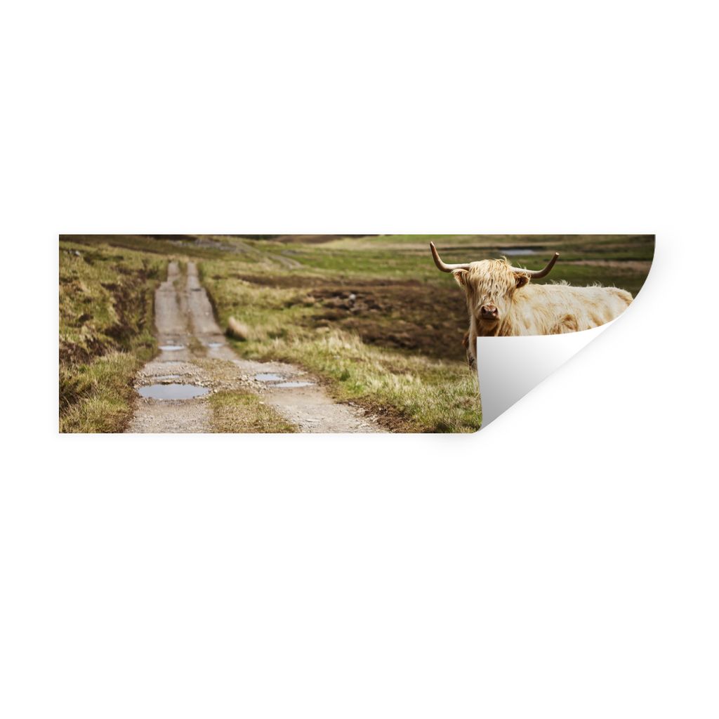 MuchoWow Wandtattoo Wandsticker Wandaufkleber Schottische Highlander - Pfad - Wald 120x40 cm Selbstklebend und Repositionierbar - Repositionierba...