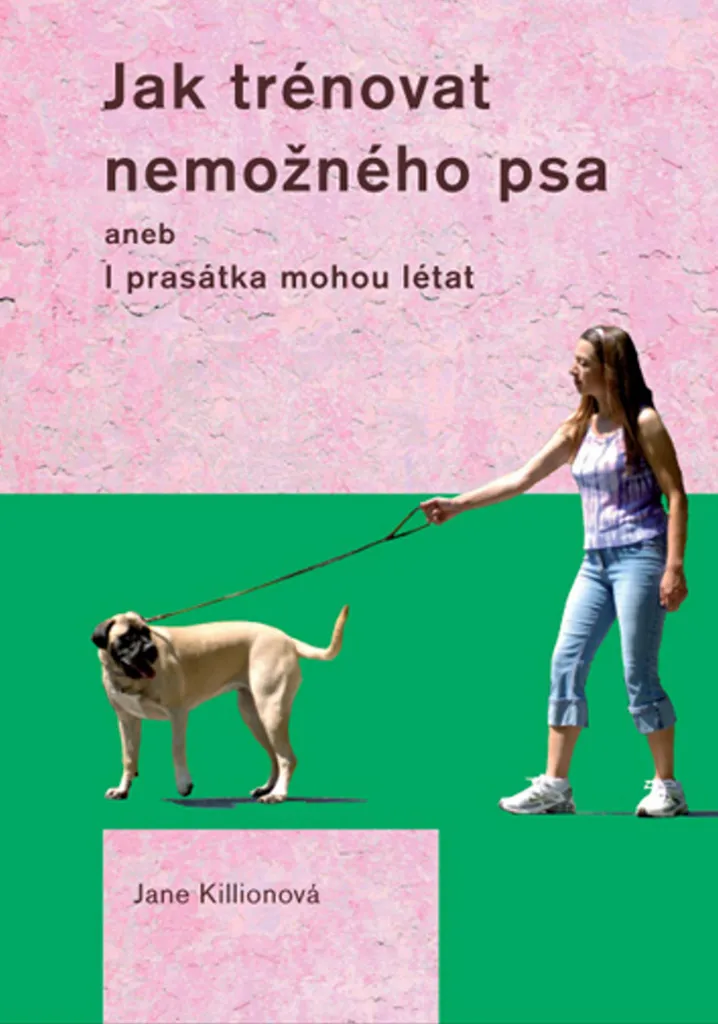 Comment dresser un chien difficile livre Jane Killion conseils experts