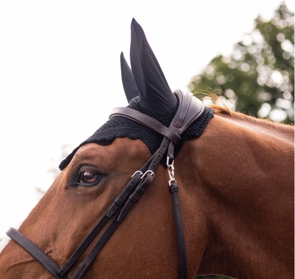 Bonnet de Concours Samshield Flyshield Swarovski Oreilles de Cheval - 6