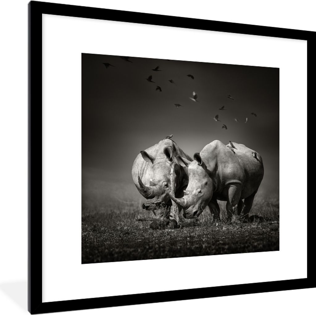 MuchoWow® Gerahmtes Poster Nashorn - Vogel - Tiere - Produktbild 