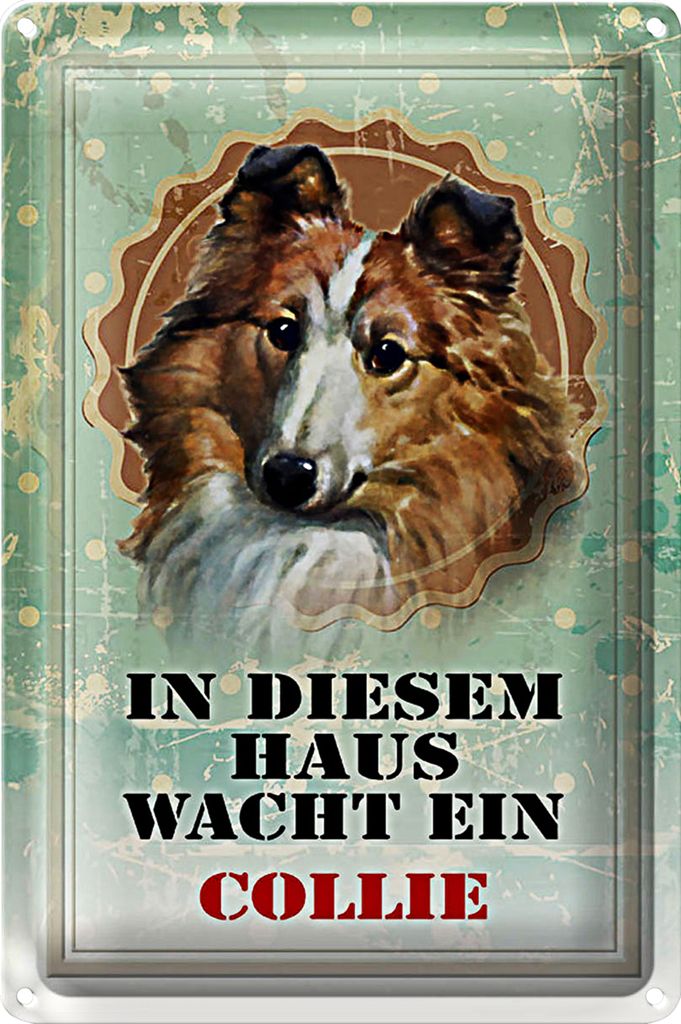 Blechschild Hund 20x30cm in diesem Haus wacht ein Collie