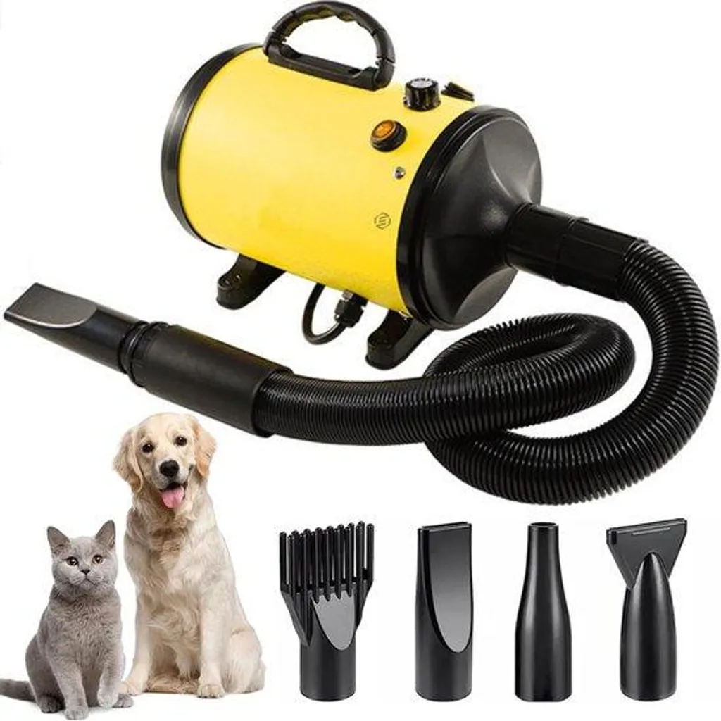 Brosse pour chien à jet d'eau compacte et silencieuse avec débit réglable