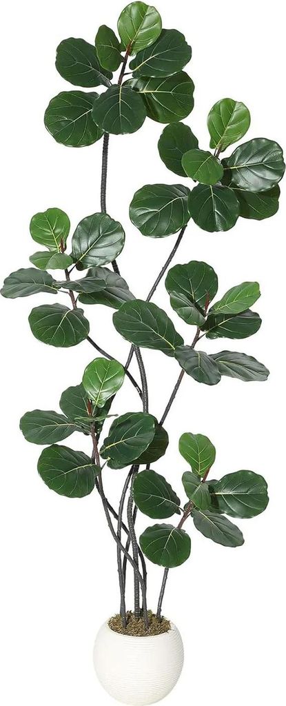 Künstliche Geigenfeige - Ficus lyrata Baum - Biegbare Zweige - PE-Material - Für Außenbereich - Bodenpflanze - 1 Stück - Größe 3XL - Milchweiß