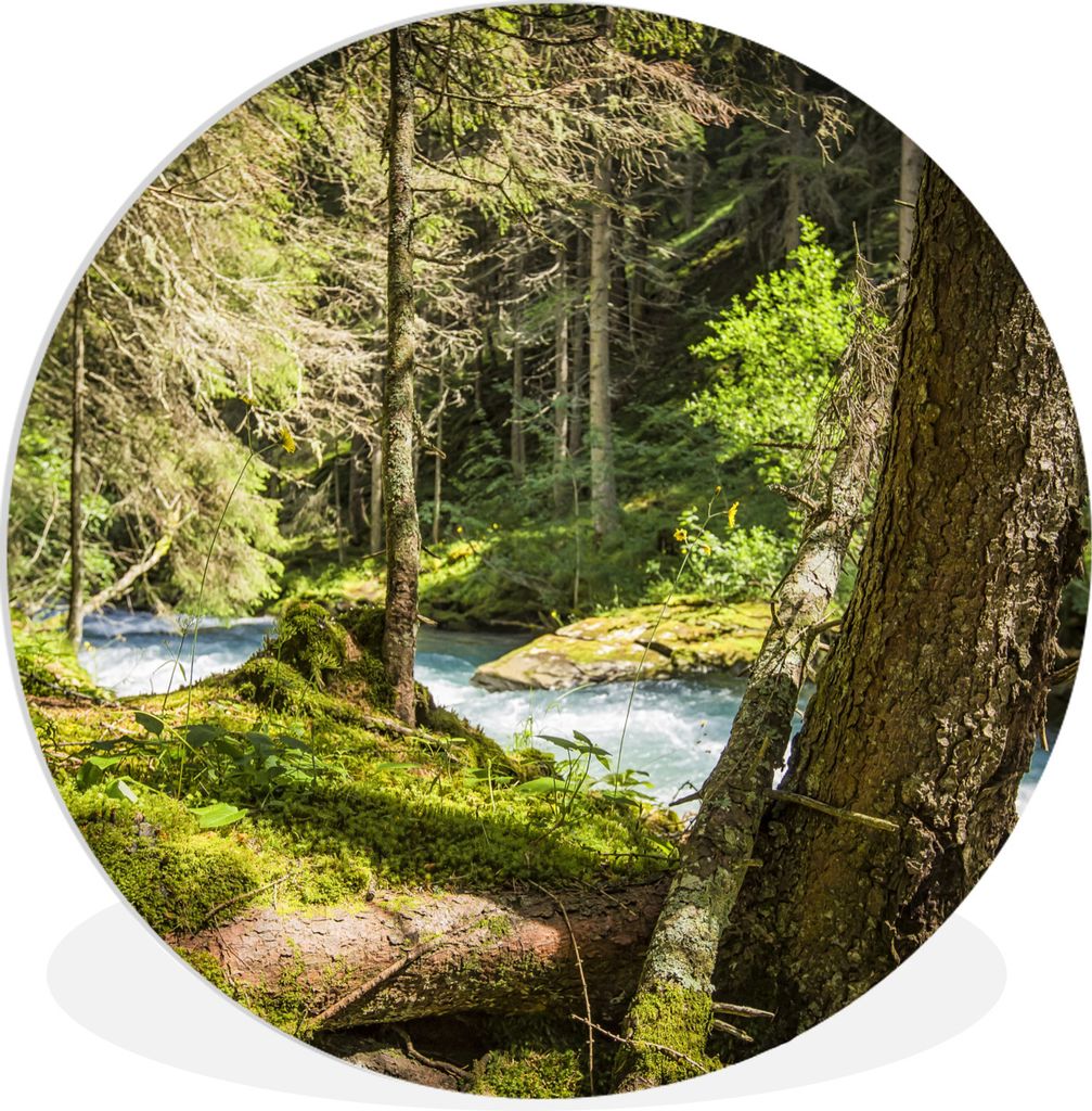 MuchoWow Rundes Wandbild - Runde Bilder Flussbett in den Wäldern des Nationalparks Hohe Tauern Ø 60 cm Kreis Wanddekoration Kunststoff - Wandkr...