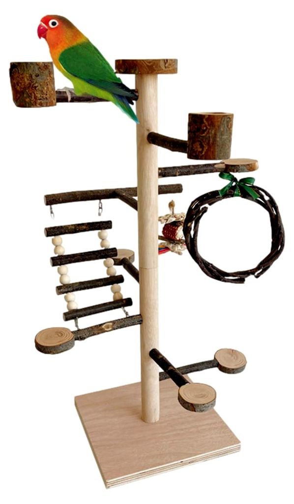 Spielplatz für Sittiche aus Holz, Spielzeug für Vögel mit Sitzstangen für Keilschwanzsittiche - Für Nymphensittiche, Finken und Wellensittiche
