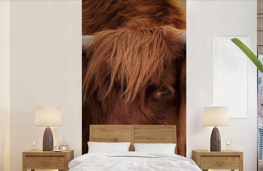 MuchoWow Fototapete für Wohnzimmer oder Schlafzimmer Wandtapete Vinyl Motivtapete Schottischer Highlander - Orange - Tiere - 120x240 cm - Hinter...