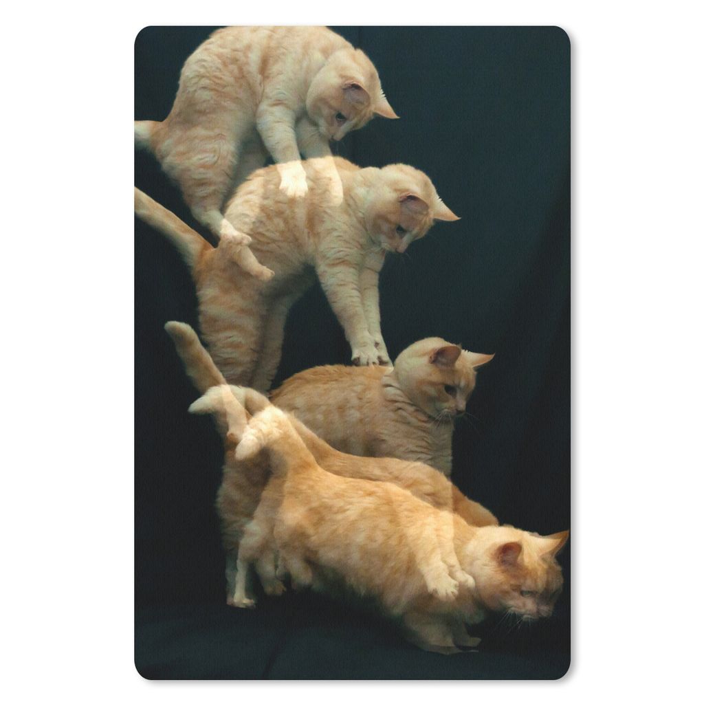 MuchoWow Mauspad Mousepad Springende Katze 40x60 cm - Mousepads - Maus Mat - Pad - Mausunterlage - Schreibtisch Accesoire