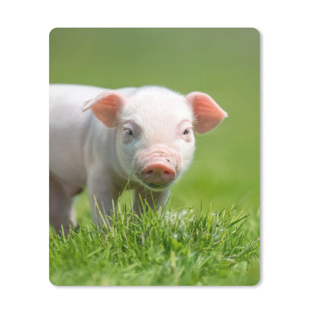 MuchoWow Mauspad Mousepad Ferkel - Kaninchen - Tiere 19x23 cm - Mousepads - Maus Mat - Pad - Mausunterlage - Mauspads - Spielen