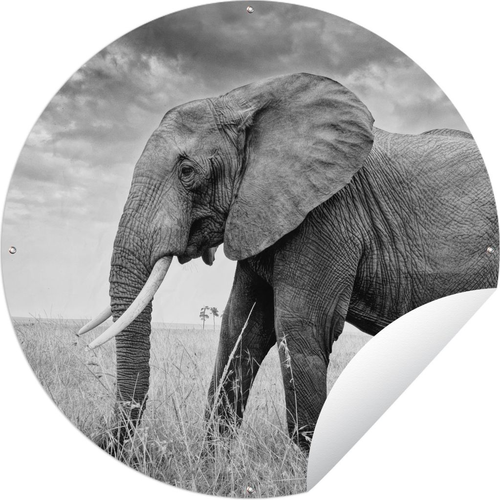 MuchoWow Gartenposter Outdoor-Poster Rund Elefant in der Ebene in Schwarz und Weiß Ø 60 cm Gartendeko Rundes Poster draußen