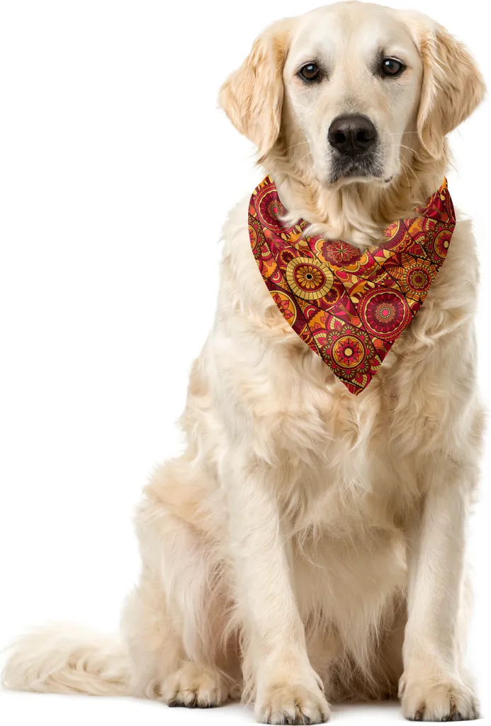 Bandana Cane Resistente 40x40 ABAKUHAUS - Lavabile e Colorata