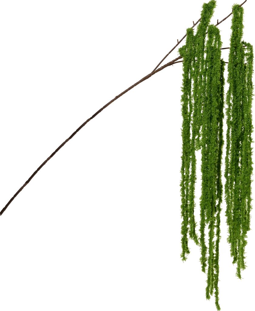Künstlicher Zweig Amaranth (Fuchsschwanz) 5x15x80cm Kunststoff Grün