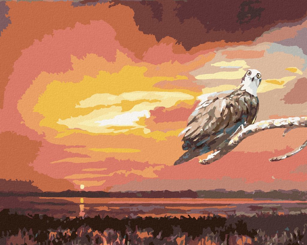 Zuty - Malen nach Zahlen - ADLER AUF EINEM AST UND SONNENUNTERGANG (D. RUSTY RUST), 40x50 cm, mit Keilrahmen (bereits gespannt)