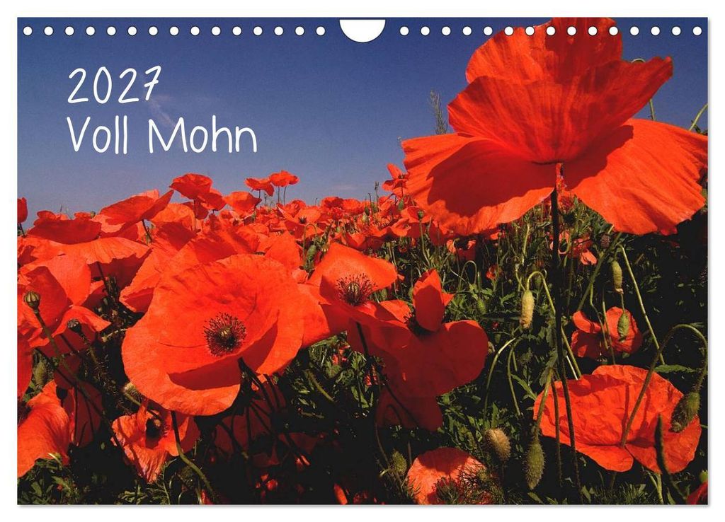 Voll Mohn (Wandkalender 2027 DIN A4 quer), CALVENDO Monatskalender