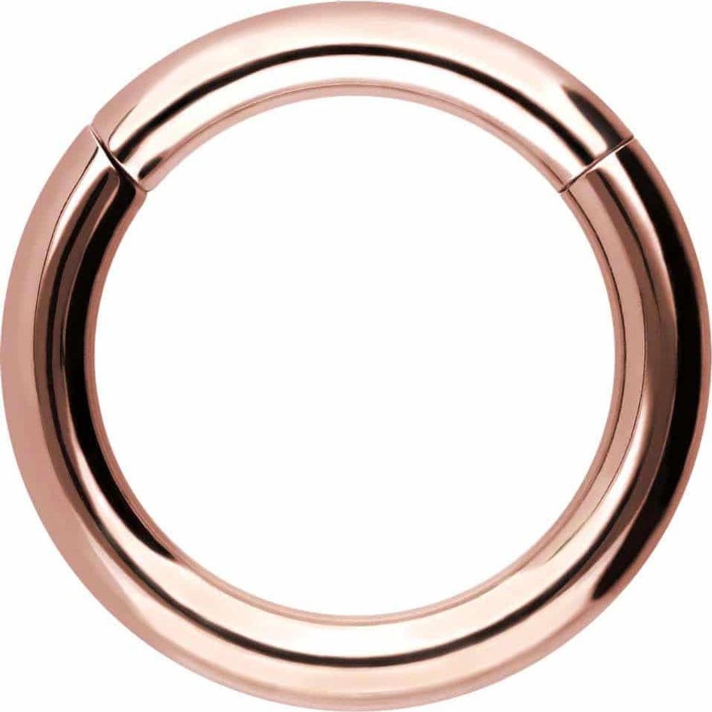 Ohrpiercing, Nasenpiercing, Septum Piercing Chirurgenstahl Segmentring Clicker RoséGold Innendurchmesser: 20mm + Stabstärke: 4mm