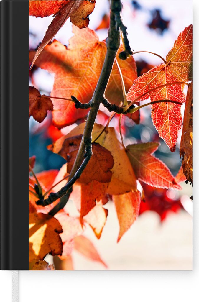 MuchoWow Notizbuch Tagebuch Haushaltsbuch Notebook A5 Ahorn - Blätter - Rustikal - Herbst - Notizblock - Notizheft - Notebook - Schreibblock - P...