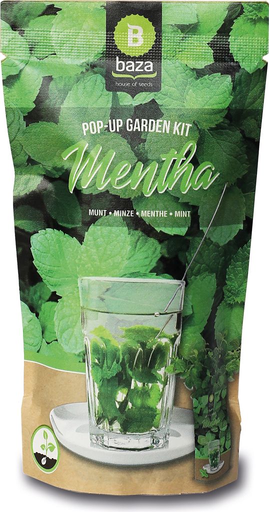 Pop-up Garden Minze | Anzuchtsets von Baza