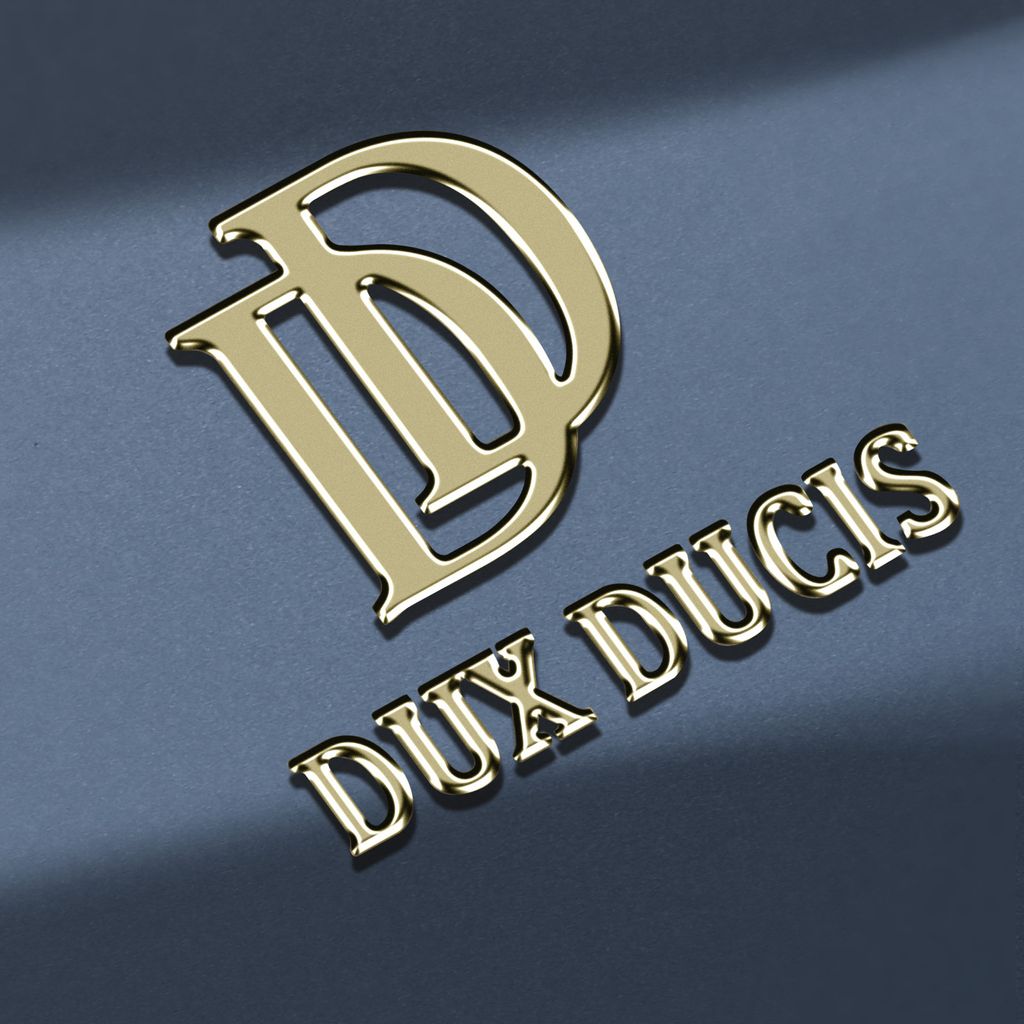 DUX DUCIS SKIN PRO Holster für SAMSUNG Galaxy A55 blau Produktbild 4