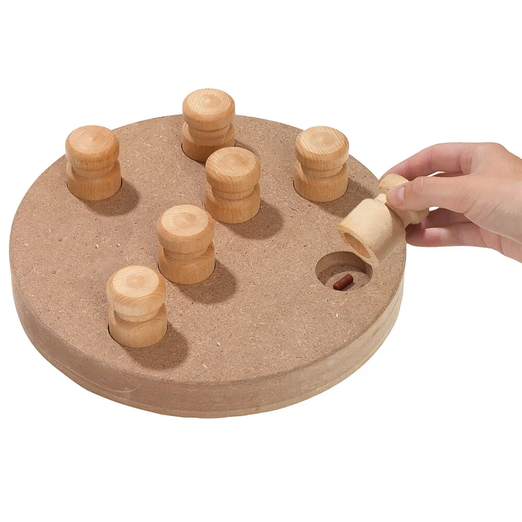 Karlie Doggy Brain Train 2 in 1 - Gioco di Logica per Cani 25cm - 3