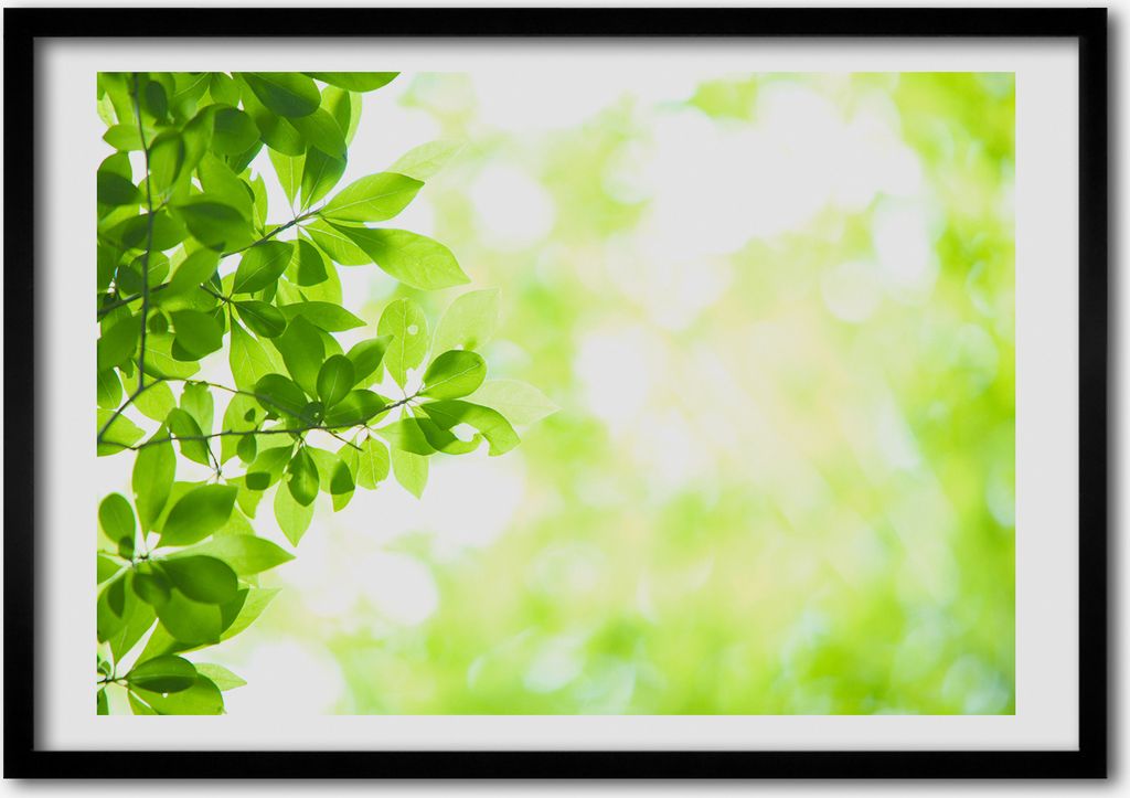Bild - Bilderrahmen - 100 cm x 70 cm - MDF - Rahmen - Foto - Wandkunst Blätter