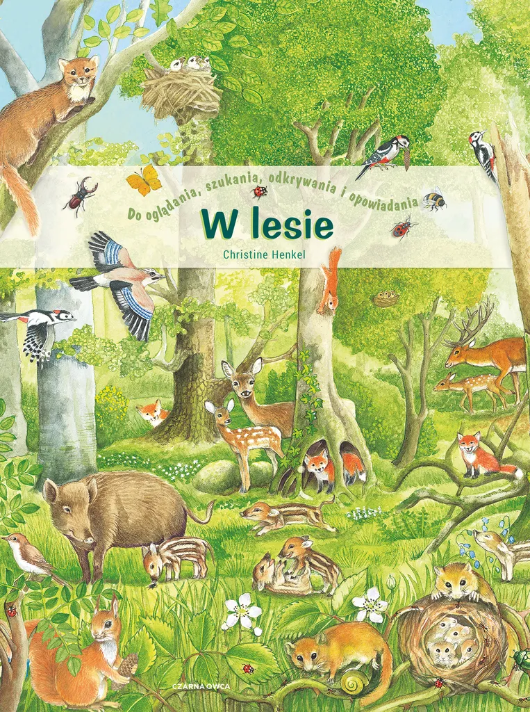 Livre d'éveil Dans la forêt par Christine Henkel en polonais (Pologne)