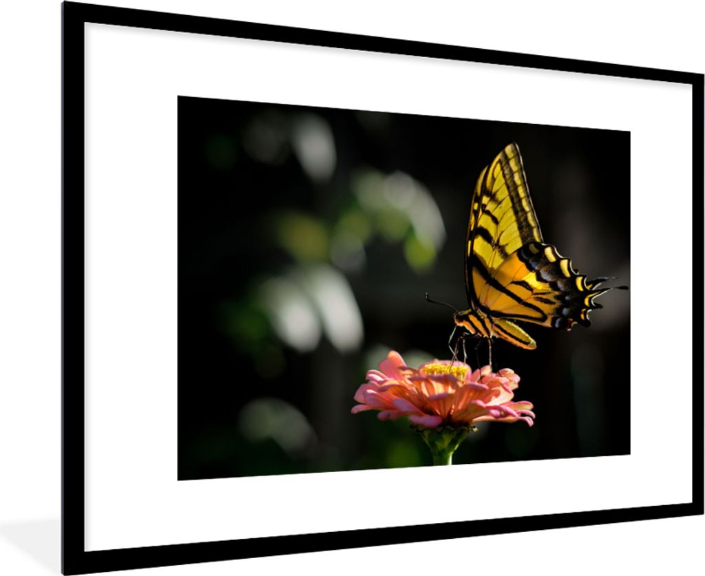 MuchoWow Gerahmtes Poster Schmetterling - Botanisch - Blume 90x60 cm - Poster mit Schwarzem Bilderrahmen Wandposter Rahmen Foto Bilder - Wanddeko...