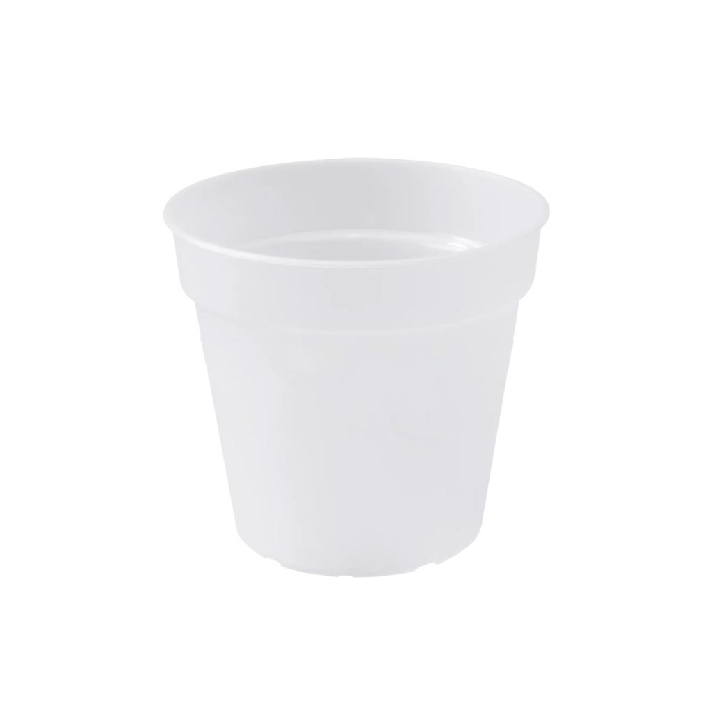 elho green basics Orchidee 15cm - transparent Image du produit 