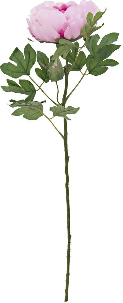 Ramo di Peonia Rosa Artificiale 80cm - Qualità Europalms per la Casa