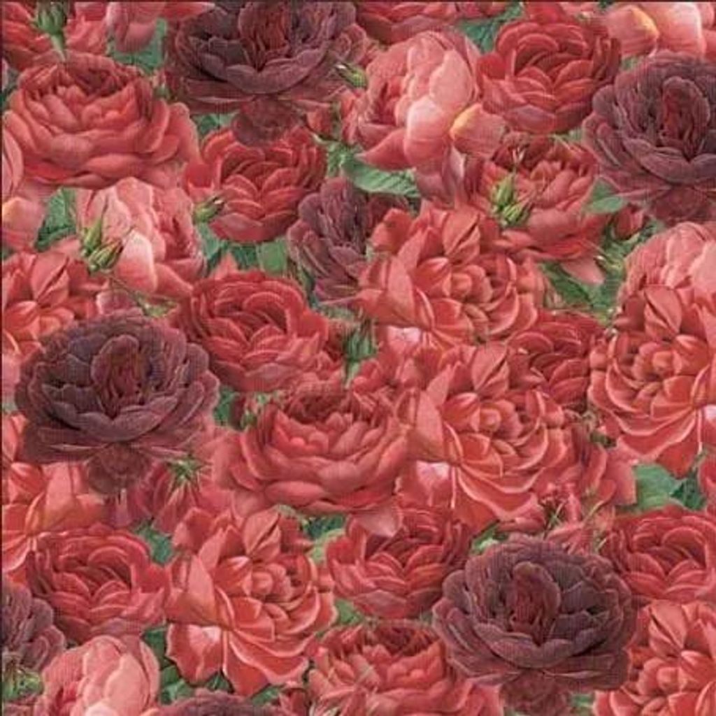 Papier origami 15x15 cm 24K Roses Image du produit 