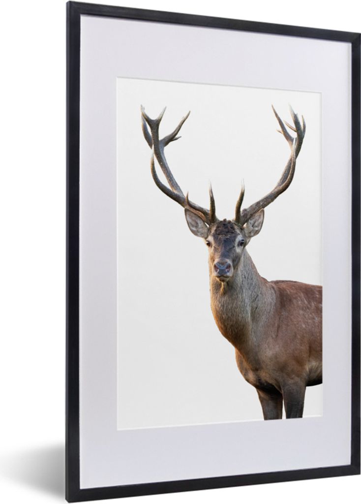 MuchoWow MuchoWow Gerahmtes Poster Hirschgeweih weiß 40x60 cm - Poster mit zchwarzem Bilderrahmen - Poster in Rahmen