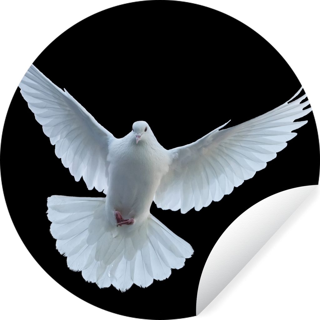 MuchoWow Runde Wandtattoo - Wandsticker Tapete Aufkleber Taube - Vogel - Schwarz - Weiß - Porträt Ø 30 cm Selbstklebend und Repositionierbar -...