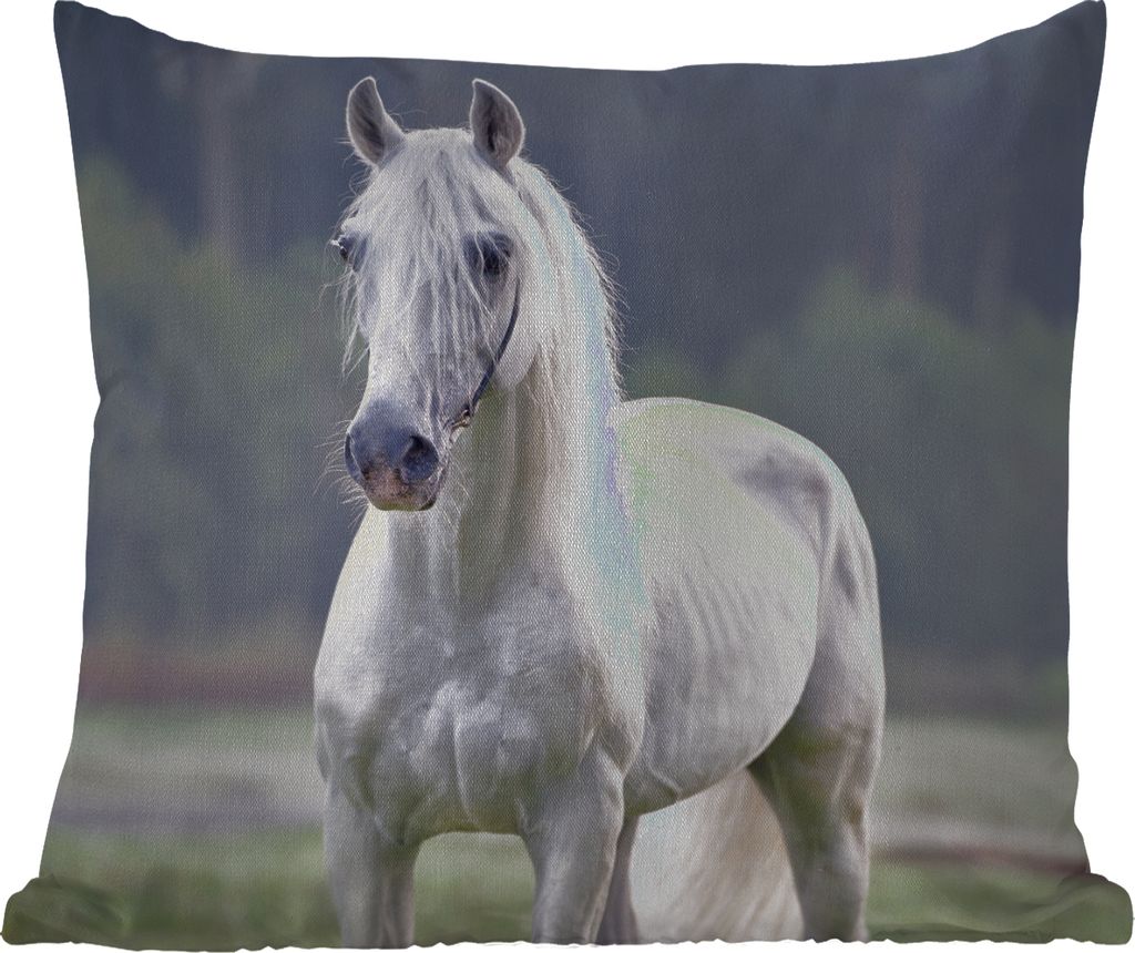 MuchoWow Outdoor Kissen - Pferd - Licht - Morgen - 60x60 cm - Wetterfest - Lounge Kissen - Dekoration - Schlaf Kissen