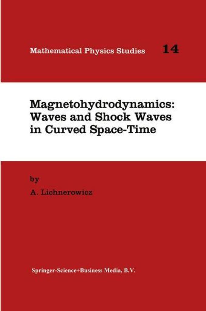 Magnetohydrodynamik: Wellen und Schockwellen in gekrümmter Raum-Zeit