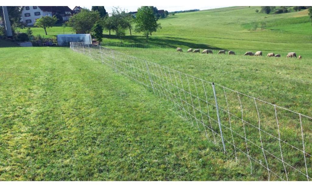 horizont Schafnetz turbomax high energy | 90 cm hoch | 50 m Produktbild 