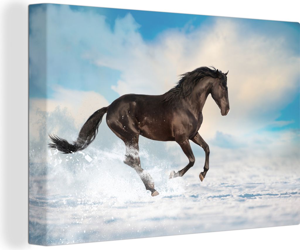 OneMillionCanvasses - Leinwandbilder - 140x90 cm, Schwarzes Pferd im Schnee, Wandbilder Kunstdruck Wanddekoration - Foto auf Leinwand - Gemälde ...