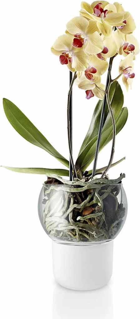Eva Solo Orchideentopf, Blumentopf, Selbstbewässernd, Produktbild 