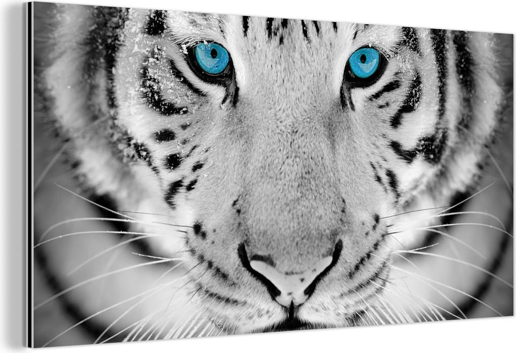 MuchoWow Wanddekoration Metall Metallbild Wandkunst 80x40 cm Tiere - Tiger - Augen - Blau - Schwarz und weiß MuchoWow Aluminium Gemälde - Wanddek...