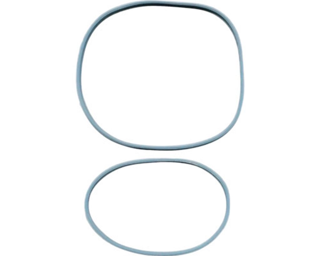 Two rubber seals on a white background.