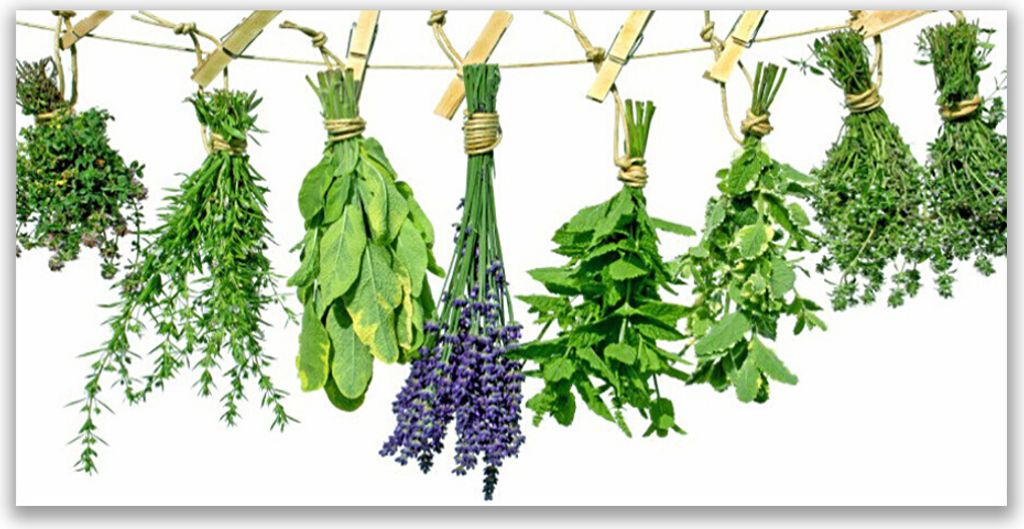 Tulup Leinwand-Bilder 140x70 Wandbild Canvas Kunstdruck Blumen Blätter Pflanzen