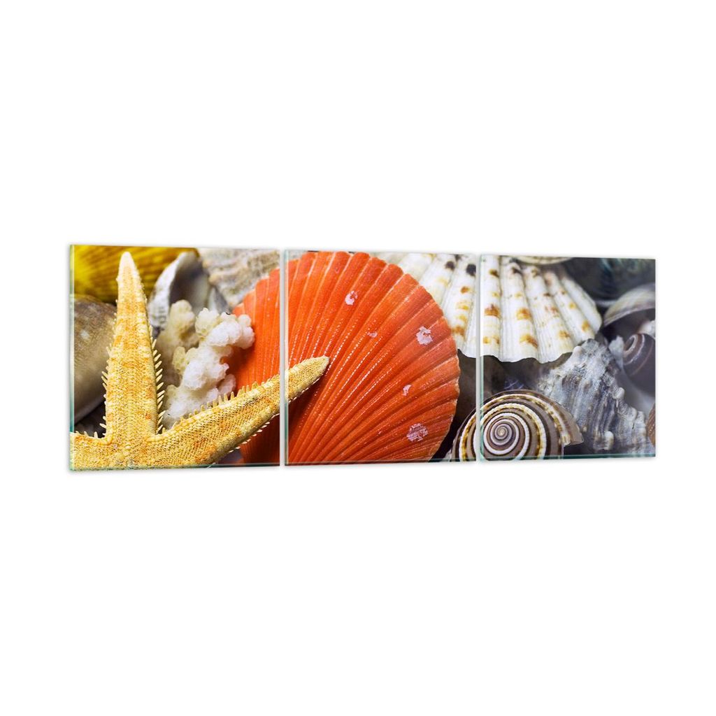 Bilder auf glas - Seashell Meer Strand Sand - 150x50cm - Glasbilder - Wandbilder - Kunstdruck - zum Aufhängen bereit - Wanddekoration aus Glas - G...