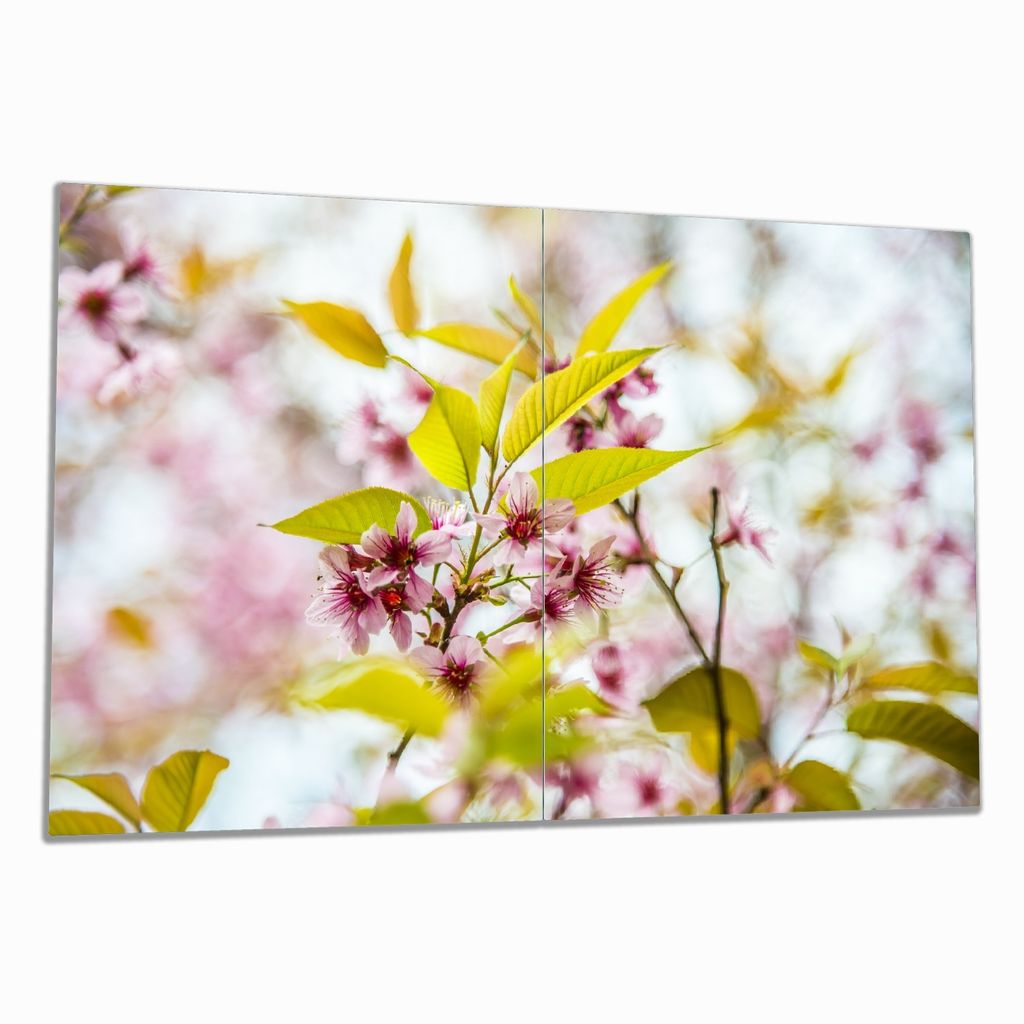 Wallario Herdabdeckplatte aus Glas, Größe 80 x 52 cm 2-teilig, Motiv Blühende Wildkirschen in Nahaufnahme