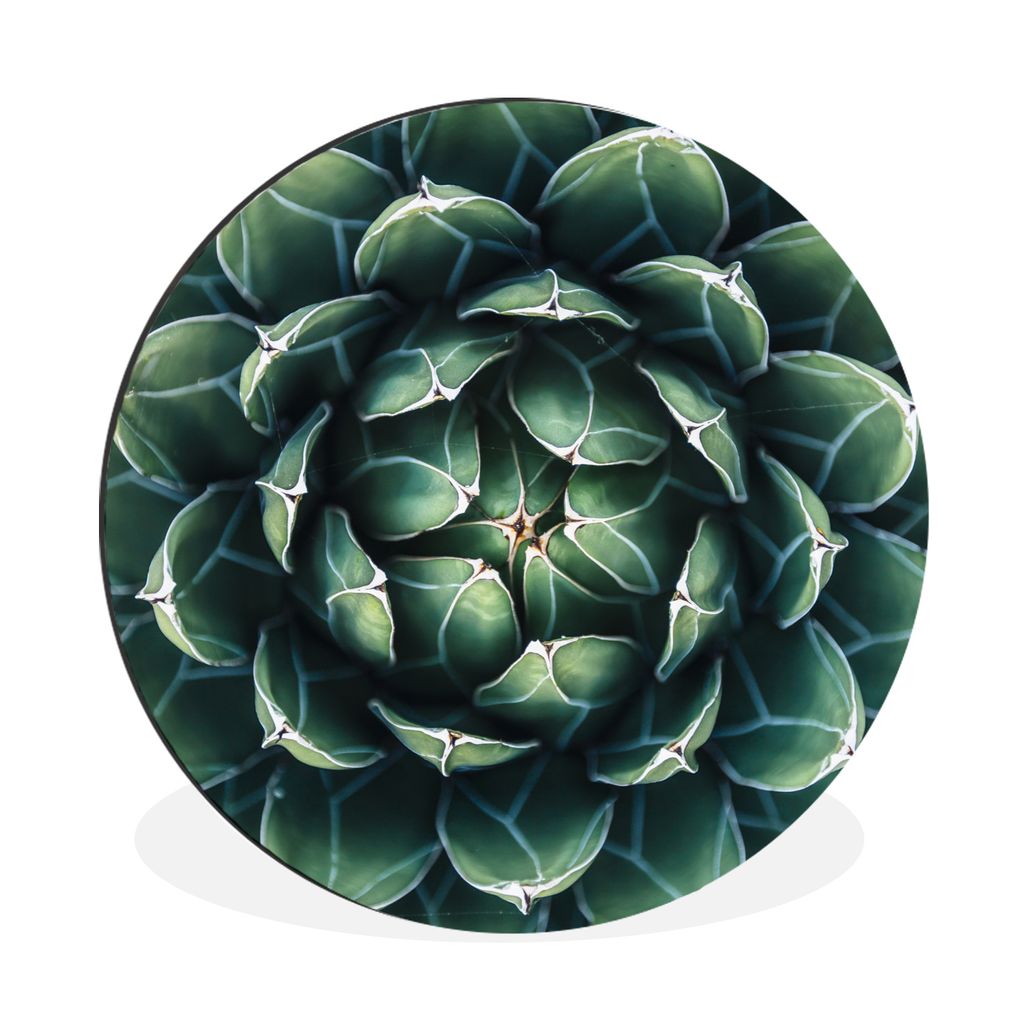 MuchoWow Aluminium Wandkreis Ein grünes Blumenmuster Ø 60 cm Wanddeko Modern Wohnzimmer - Wand Kreis - Wandbild - Schlafzimmer - Aluminium Bild...