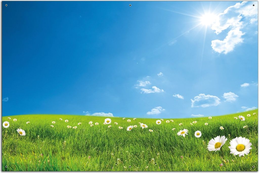 Wallario Outdoor-Poster für Garten oder Balkon, Motiv Sommerwiese - Weiße Gänseblümchen vor blauem Himmel, in ca. 61 x 91,50 cm